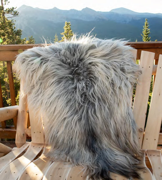 RLINGR110_grande.jpg?v=1665430712